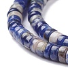 Natural Sodalite Beads Strands G-F631-A46-2