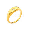 Stylish Elliptical Star Zircon Ring for Women - 18K Gold Plated Stainless Steel North Star Jewelry ST3456434-1