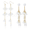 ANATTASOUL 2 Pairs 2 Style Plastic Lily of the Valley Dangle Stud Earrings EJEW-AN0002-83-1