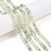 Natural Prehnite Beads Strands G-N342-124-4