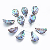 Natural Abalone Shell/Paua Shell Beads Strands SSHEL-P014-03-1