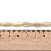 Natural Trochus Shell Beads PEAR-B002-01A-B-4