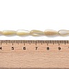 Natural Trochus Shell Beads PEAR-B002-01A-B-4