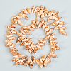 Natural Spiral Shell Beads Strands BSHE-SZ0001-03-5