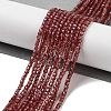 Natural Garnet Beads Strands G-B088-E11-02-2