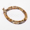 Natural Crazy Lace Agate Beads Strands X-G-D840-70-4mm-2