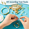 Pandahall DIY Stretch Bracelet Making Kit DIY-TA0006-25-7