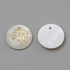 Freshwater Shell Pendants X-SHEL-Q010-012G-2