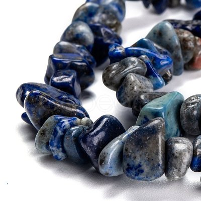 Natural Lapis Lazuli Beads Strands G-G011-05B-1