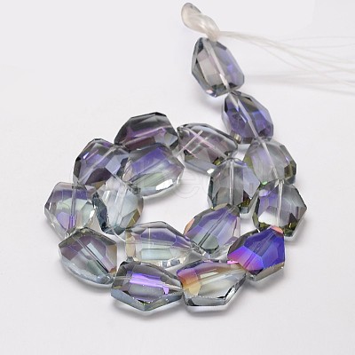 Half Rainbow Plated Faceted Polygon Glass Bead Strands EGLA-J087-07-1