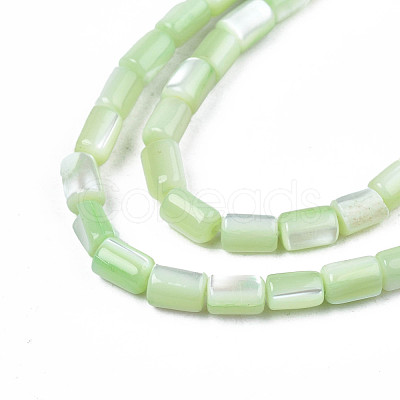 Natural Trochid Shell/Trochus Shell Beads Strands SHEL-N003-26-B08-1