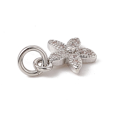 Brass Micro Pave Cubic Zirconia Charms ZIRC-F132-99P-1