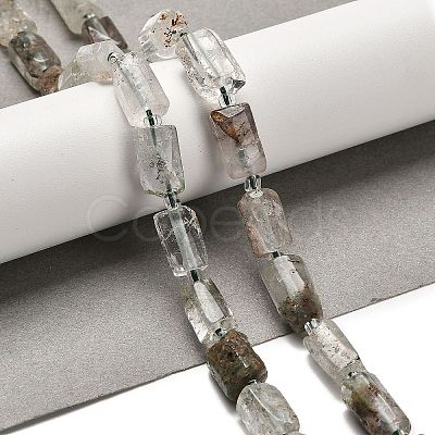 Natural Green Lodolite Quartz/Garden Quartz Beads Strands G-K245-I13-01-1