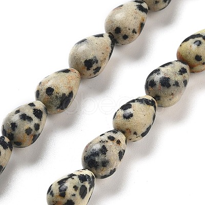 Natural Dalmatian Jasper Beads Strands G-B106-A29-01-1