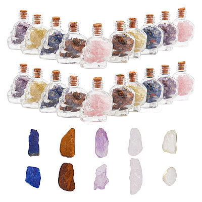 ARRICRAFT 10Pcs Mixed Gemstones Chips in Skull Glass Bottle Display Decorations DJEW-AR0001-08-1