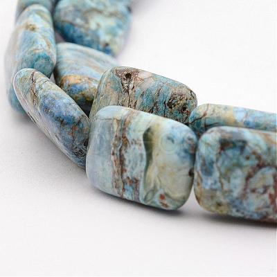 Natural Variscite Bead Strands G-P300-22-13x18mm-1