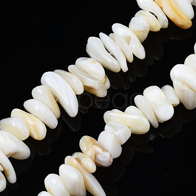 Natural Trochid Shell/Trochus Shell Beads Strands X-SHEL-S258-080-A01-1