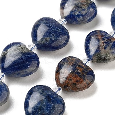 Natural Sodalite Beads Strands G-C150-A29-01-1