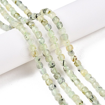 Natural Prehnite Beads Strands G-N342-124-1