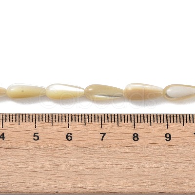 Natural Trochus Shell Beads PEAR-B002-01A-B-1