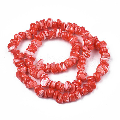 Natural Freshwater Shell Beads Strands SHEL-N003-23-B04-1