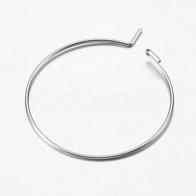 316 Surgical Stainless Steel Hoop Earrings Findings STAS-I097-050C-1