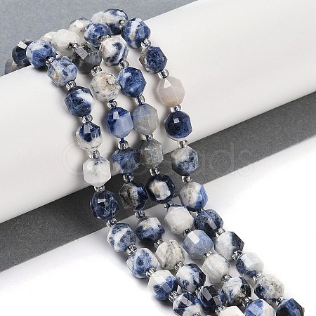 Natural Sodalite Beads Strands G-O201B-112F-1