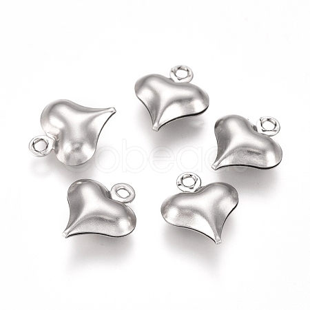 304 Stainless Steel Charms STAS-I138-11C-P-1