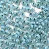 Glass Seed Beads SEED-M011-02A-08-4
