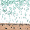 13/0 Glass Seed Beads SEED-T005-14A-A19-4