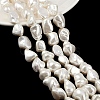 Shell Pearl Beads Strands BSHE-C008-01-2