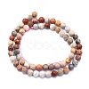 Natural Fossil Coral Beads Strands G-K310-A03-6mm-2