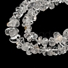 Natural Quartz Crystal Chip Beads Strands G-M205-01A-4