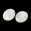 Carved Natural White Shell Cabochons SSHEL-N038-08C-02-2