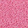 TOHO Round Seed Beads X-SEED-TR11-0191C-2