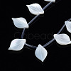 Natural White Shell Beads Strands SSHEL-S278-119-3