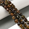 Natural Petrified Wood Beads Strands G-B078-D18-01-2