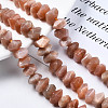 Natural Sunstone Beads Strands G-S376-007-4