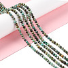 Natural African Turquoise(Jasper) Beads Strands G-F717-01-2