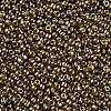8/0 Glass Seed Beads X1-SEED-A009-3mm-601-2