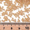 12/0 Grade A Round Glass Seed Beads SEED-Q010-F531-3