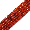 Natural Red Agate Beads Strands G-P457-B01-25-1