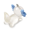 Cute Transparent Resin Pendants RESI-L038-11P-05-2