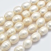 Natural Cultured Freshwater Pearl Beads Strands PEAR-K003-25A-1