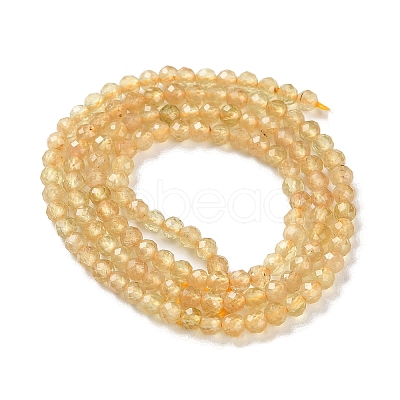 Natural Yellow Apatite Beads Strands G-N342-20B-01-1