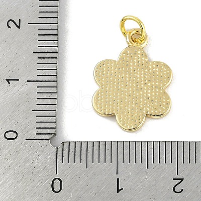 Brass Enamel Pendants KK-B114-09G-1