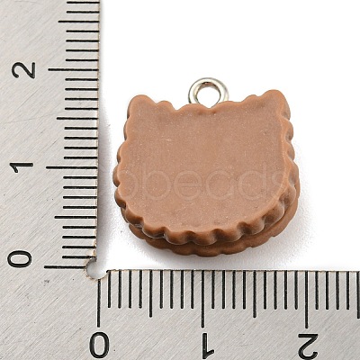 Cookies Theme Imitation Food Resin Pendants X-RESI-B021-02A-02-1