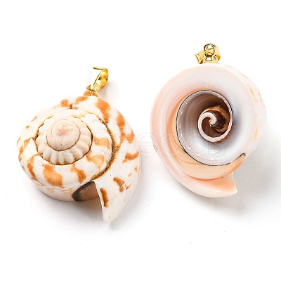 Natural Spiral Shell Red Lip Shell Pendants SSHEL-R145-06-1