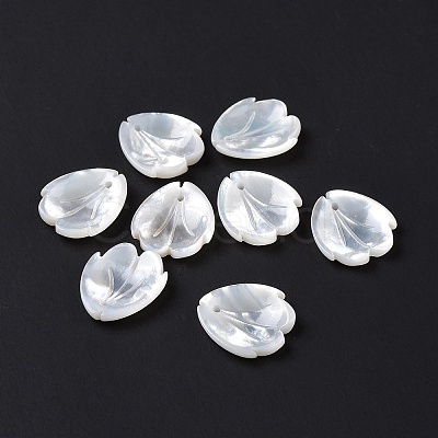 Natural White Shell Charms SSHEL-C011-07A-1