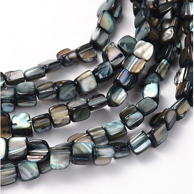 Erose Natural Shell Beads Strands X-PBB070Y-1